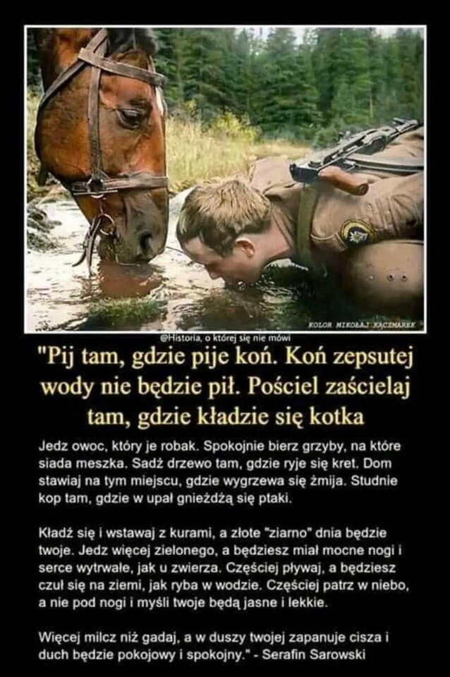 received_1142618763080140.jpeg - desperadoss09