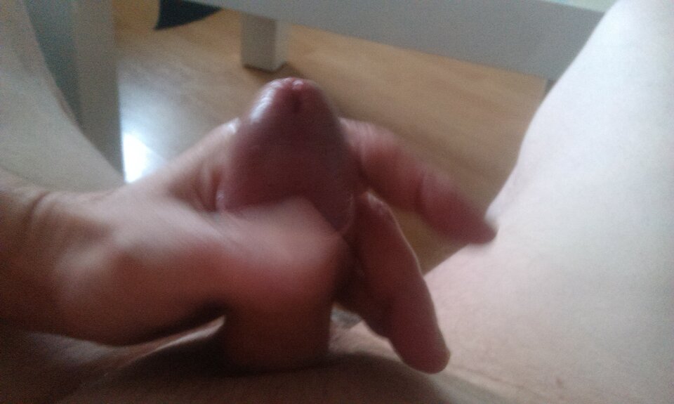 IMAG0348.jpg - kowal608