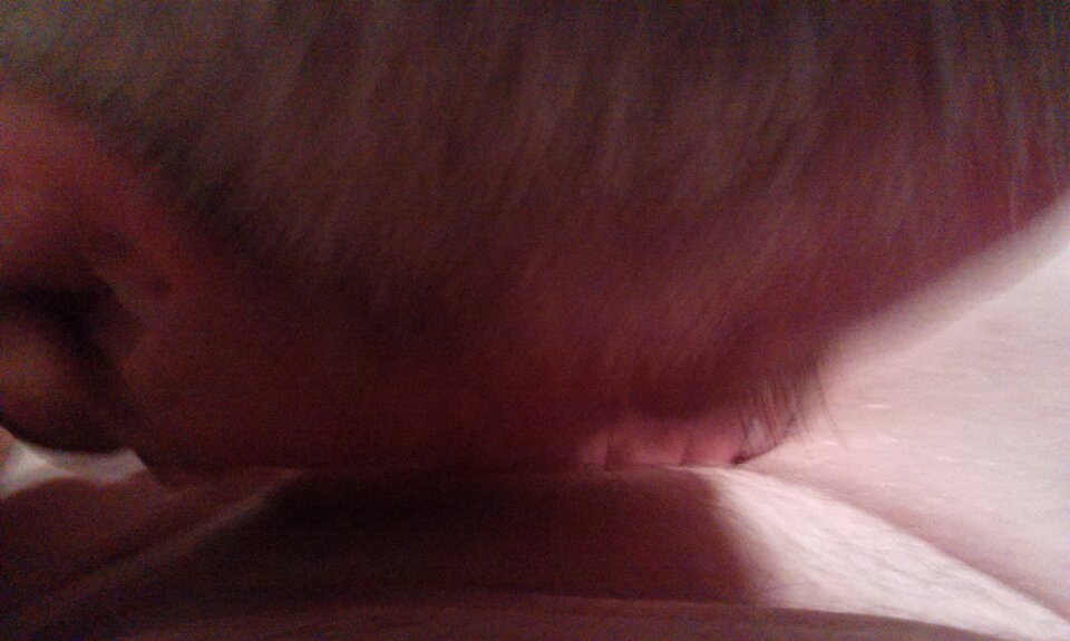 IMAG0380.jpg - kowal608