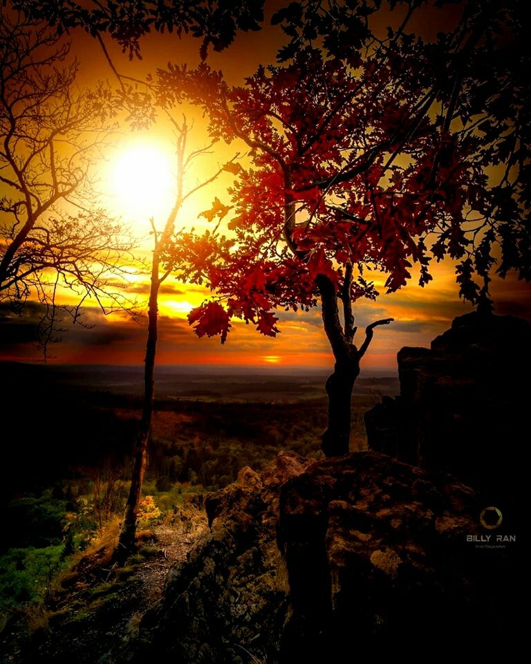 cień.jpg - FannyHill73