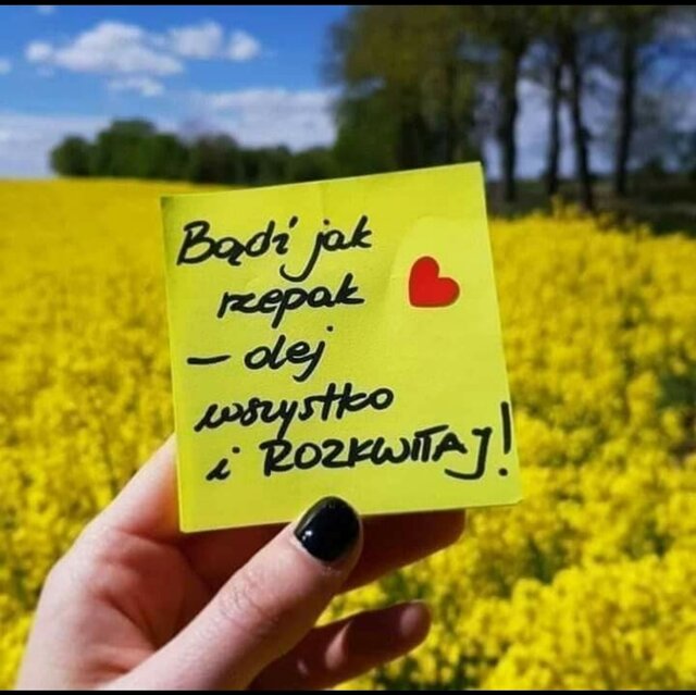 Tajemnice__Alkowy