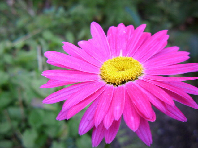 2861317493294.jpg - niewidzialni_30