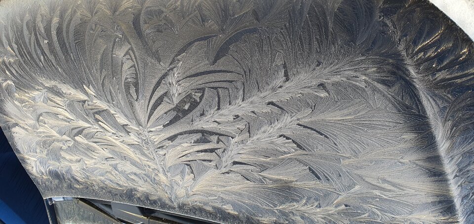 20220211_083018.jpg - HeelLovers