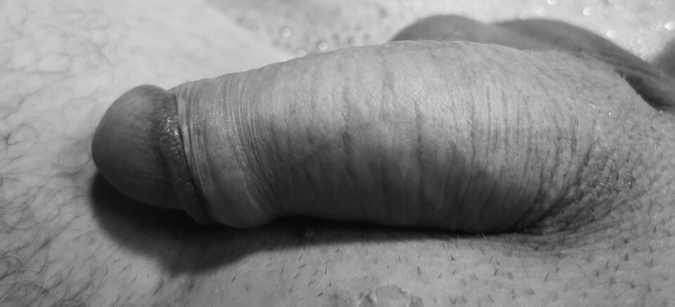 IMG_20230127_082715.jpg - mruczki2021