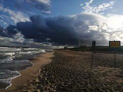IMG_20210802_064607.jpg