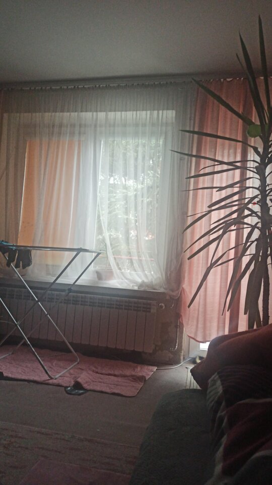 IMG-20230128-WA0003.jpeg - gabiwacek