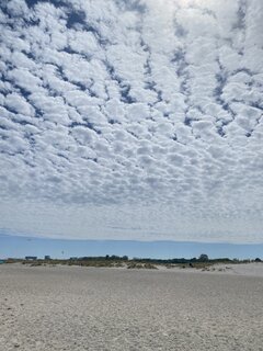 IMG_6962.jpeg