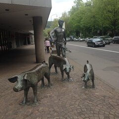 IMG_1302.jpeg