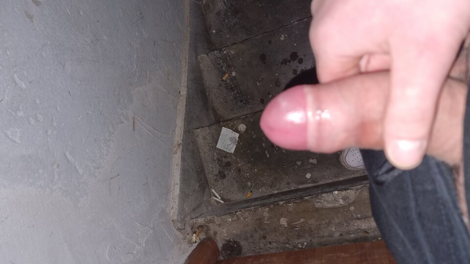 16749366349065092598151030221517.jpg - WyssamCie69