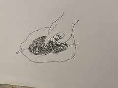 ED040C23-1089-45D6-99F0-DC748A5D74CD.jpeg