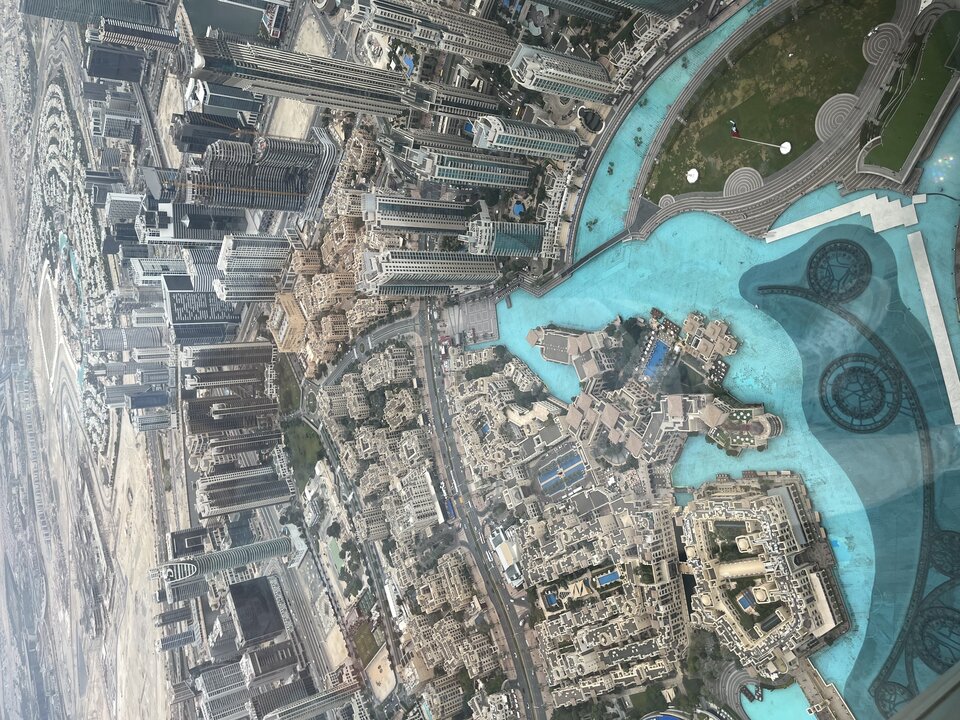 C1A71079-AC43-4116-826F-5431F26A6D14.jpeg - Lepos30