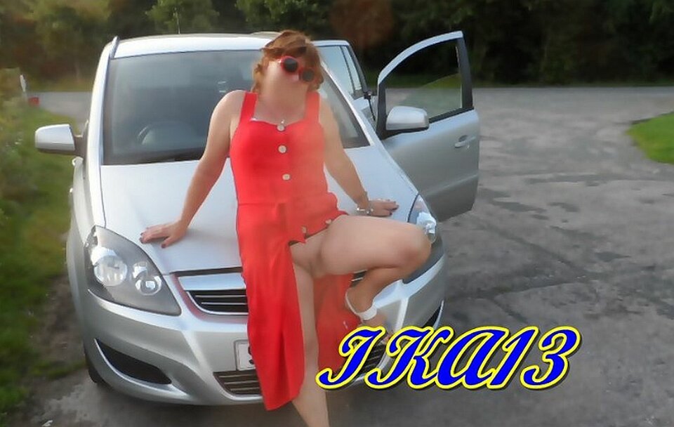 SAM_2181a.jpg - ika13