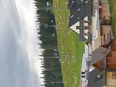 20200906_095528.jpg