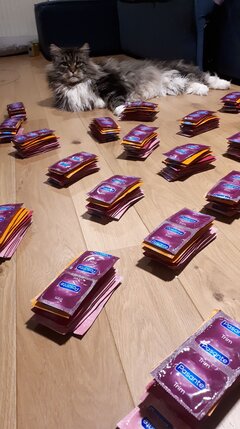 Niezbędniki dla seksworkerek