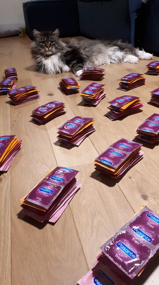 Niezbędniki dla seksworkerek - Ajsza69