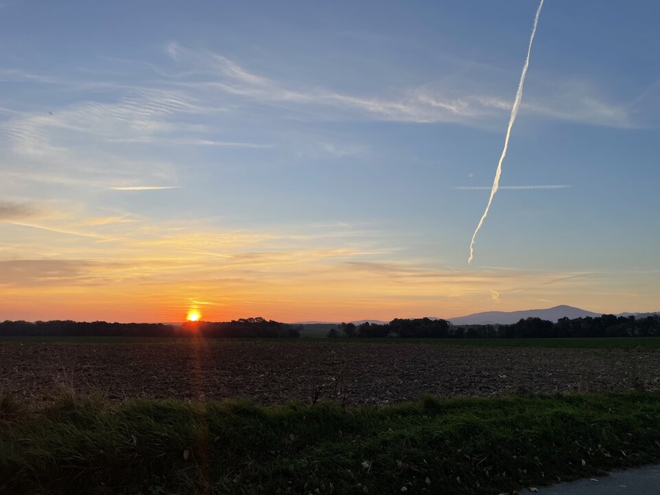 DB5DE684-15A1-4B99-AC50-861719593210.jpeg - ONYLY4Funn