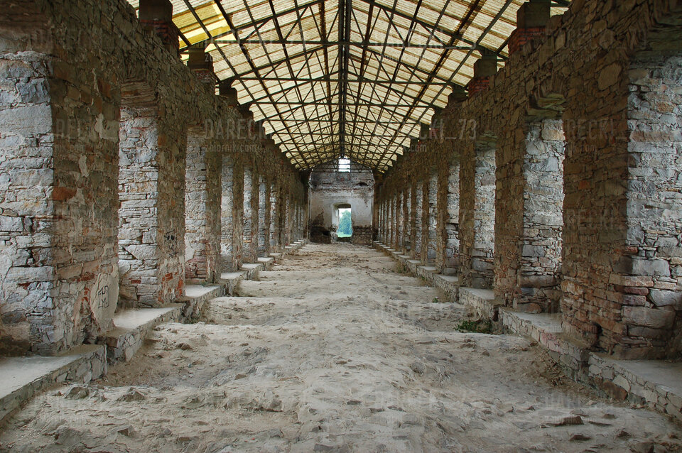 DSC_0124.jpg - Darecki_73