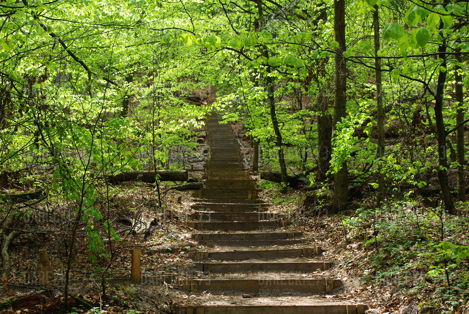 IMGP0375.JPG - Darecki_73