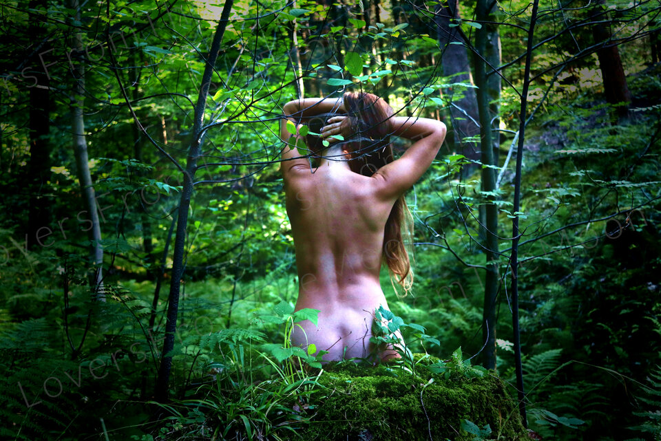 LoverFromTheForest 3 - LoversFromTheMoon