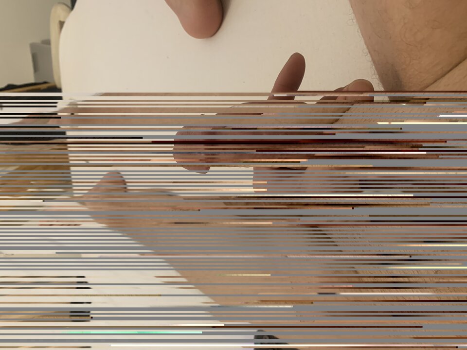 B9F8CFBE-37EF-45F9-A677-F2720120A071.jpeg - Speedoman