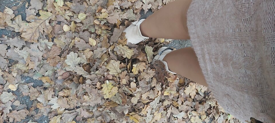 20221112_151439.jpg - PARA3734my