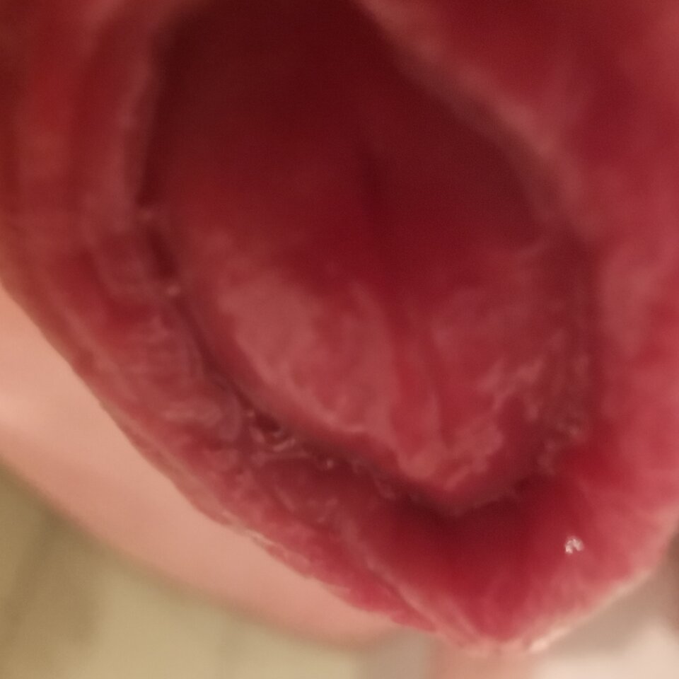 IMG_20230203_095213.jpg - Zi0001