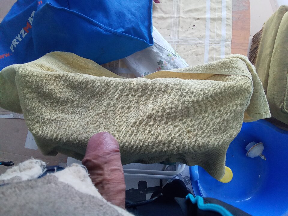 IMG_20230203_121008_979.jpg - robekBi