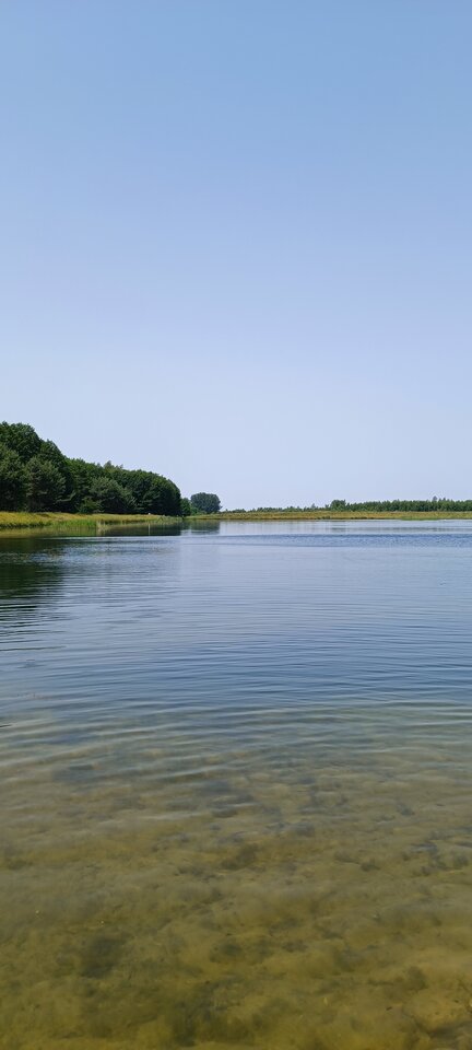 1674327688419.jpg - Bananem2020