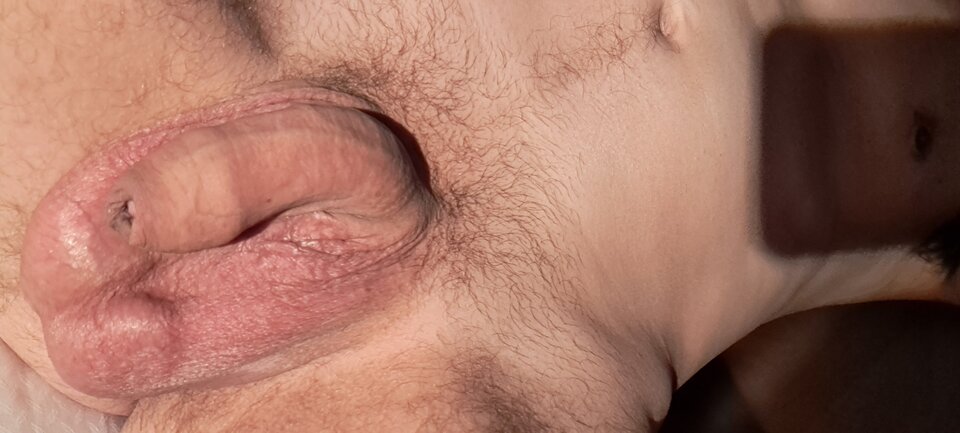 16754484752664262388310937056400.jpg - naturysta1976