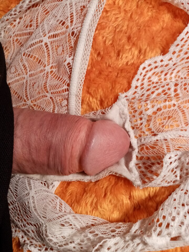 IMG_20230203_191832.jpg - Majtkiirajstopy