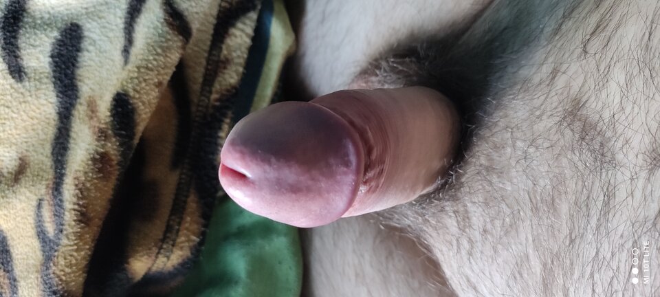 IMG_20230204_123903.jpg - cinek994