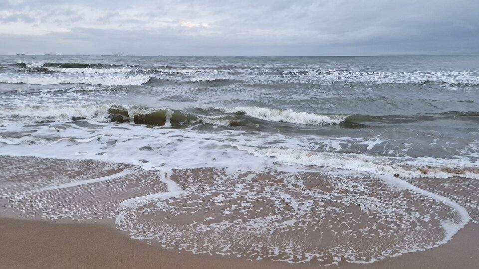 20230131_162112z.jpg - Impulss_y