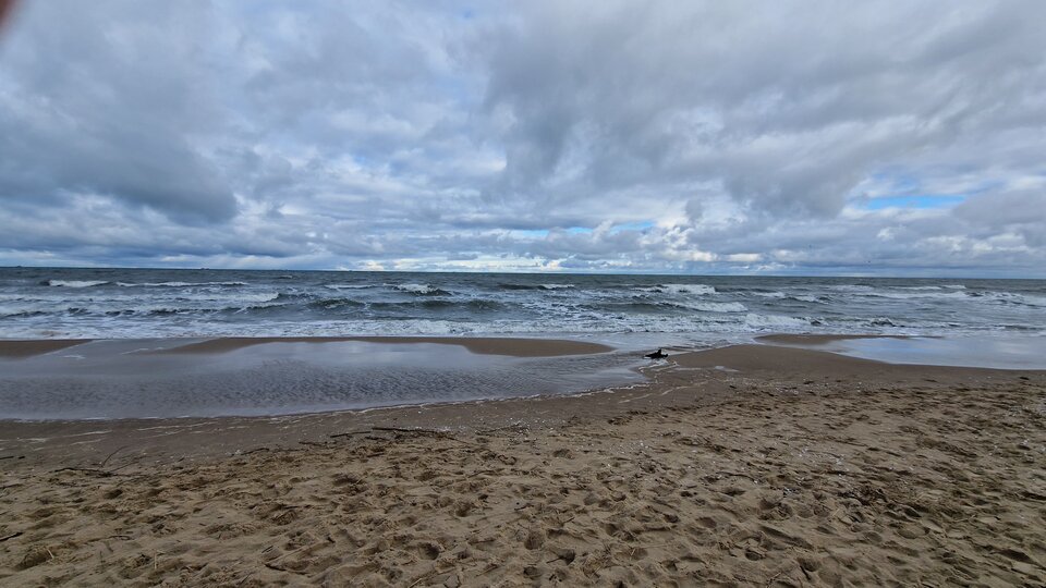 20230202_101938z.jpg - Impulss_y