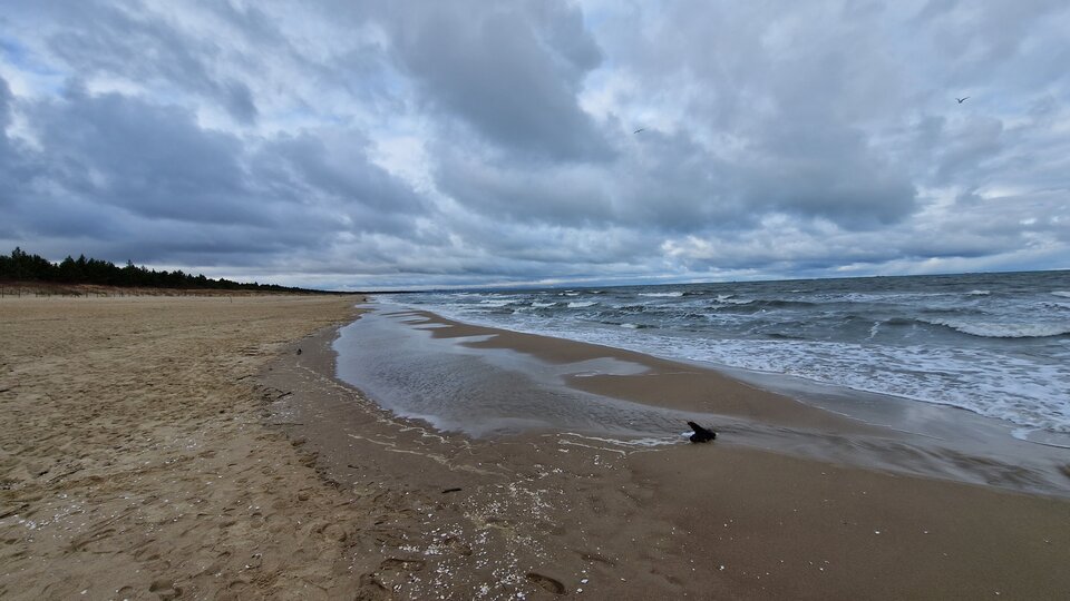 20230202_102007z.jpg - Impulss_y