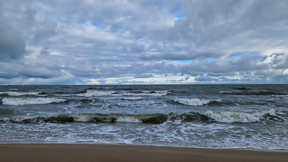 20230202_102024z.jpg - Impulss_y