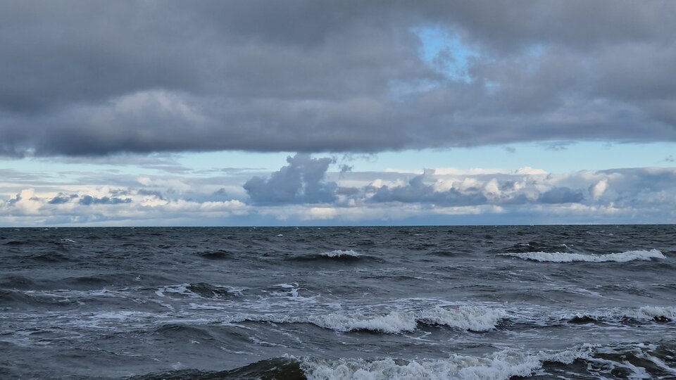 20230202_102808z.jpg - Impulss_y