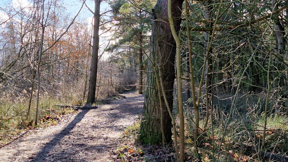 20230202_124236z.jpg - Impulss_y