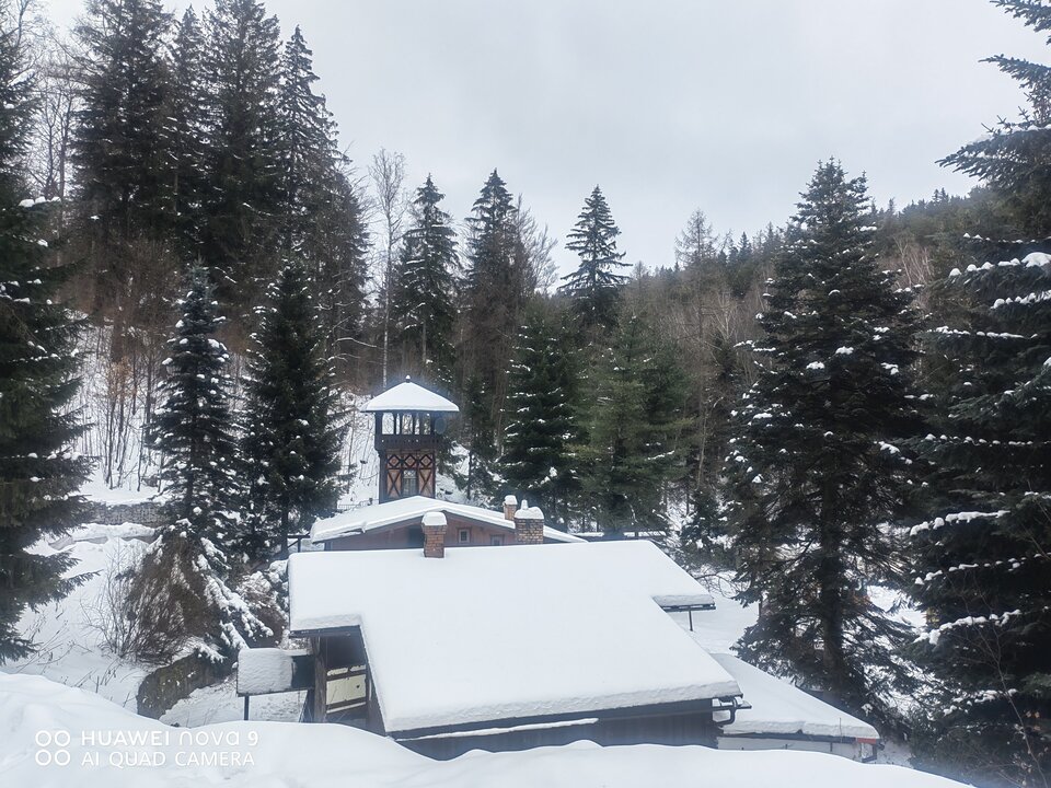 IMG_20230203_095953.jpg - SpelniamyNaszeFantazjeRazem