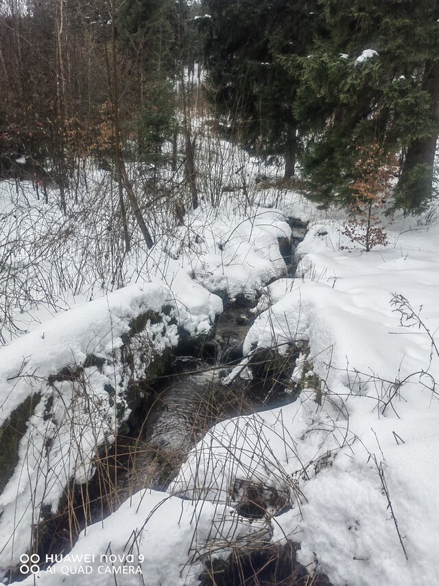 SpelniamyNaszeFantazjeRazem