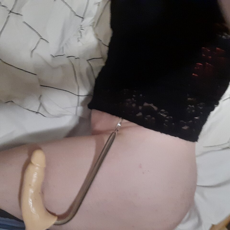 16755423677211360430412609161635.jpg - Palciusia