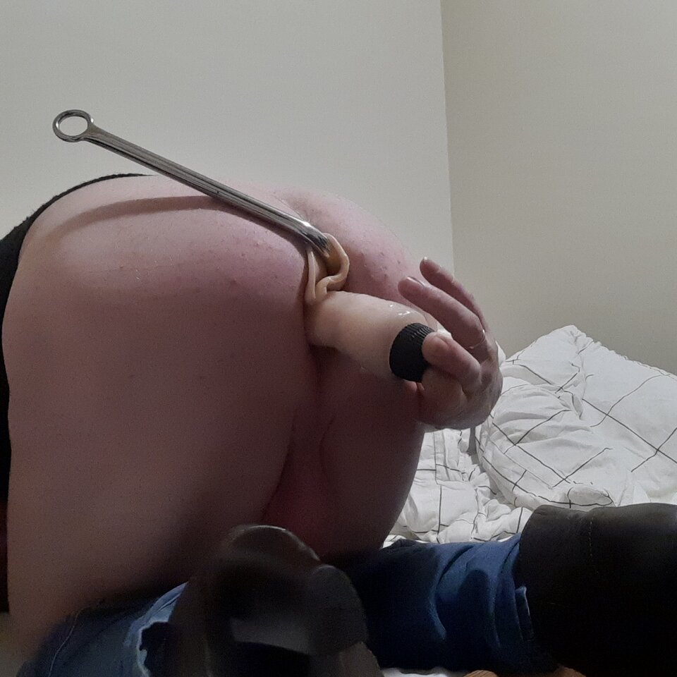 16755434012077722891148210601220.jpg - Palciusia