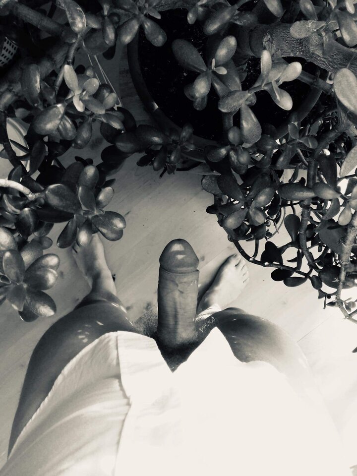 8260D8E6-436A-46F6-8D0A-6702030C892A.jpeg - Zwiazany_Dymem