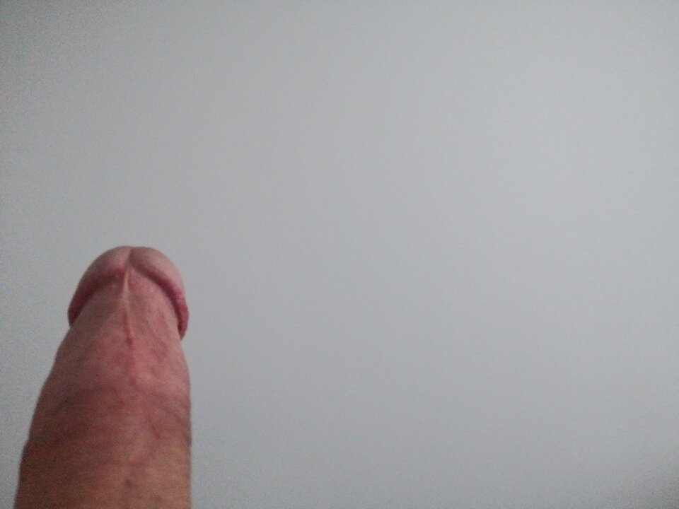 IMG_20230205_075926.jpg - Adamus241