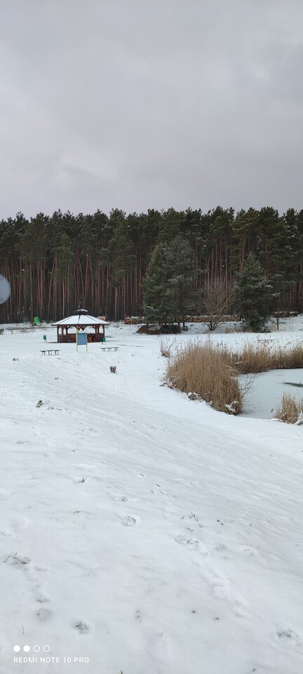 IMG_20230205_133300.jpg - Cicha1974