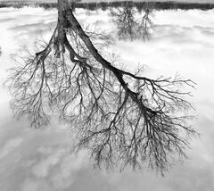 Czasami wszystko staje na głowie