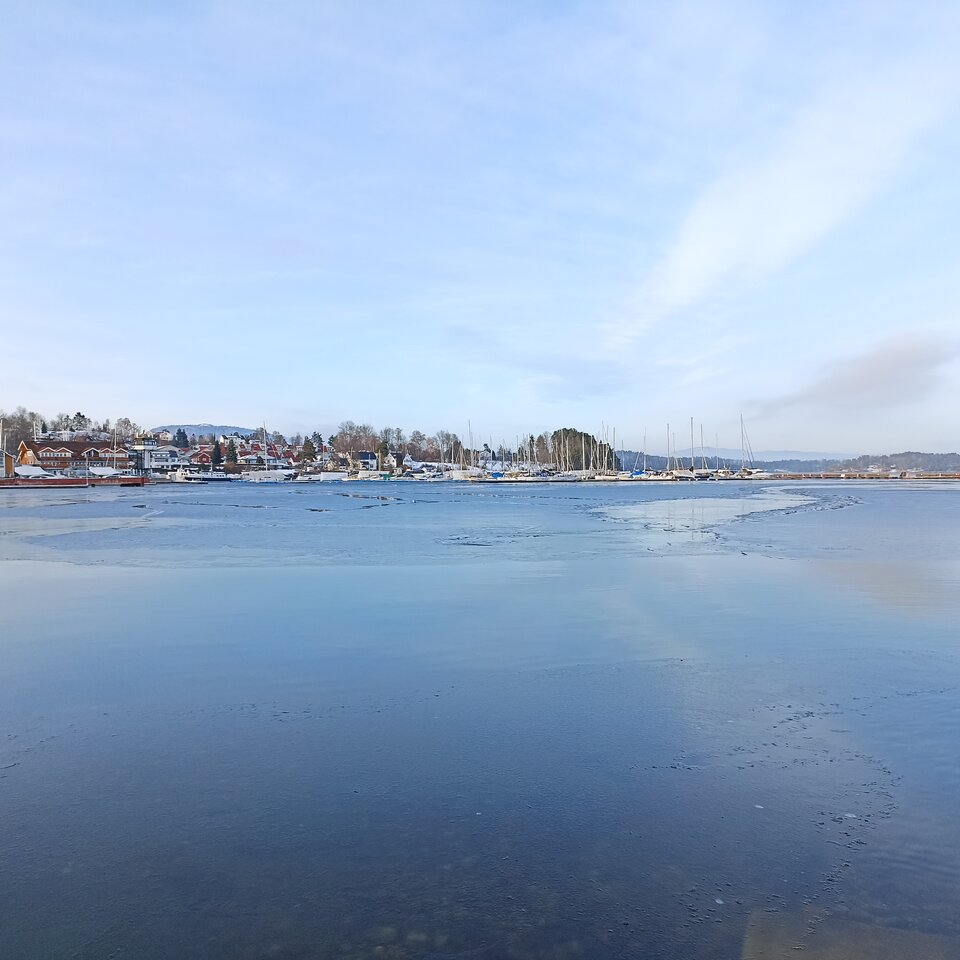 IMG_20230205_151748.jpg - Mieto29