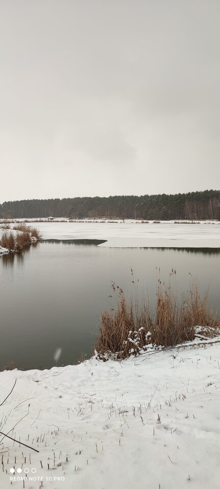 IMG_20230205_134022.jpg - Cicha1974