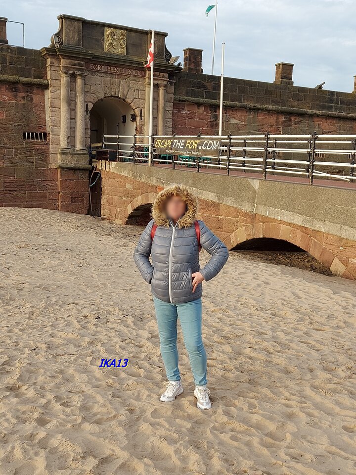 20230205_160345b.jpg - ika13