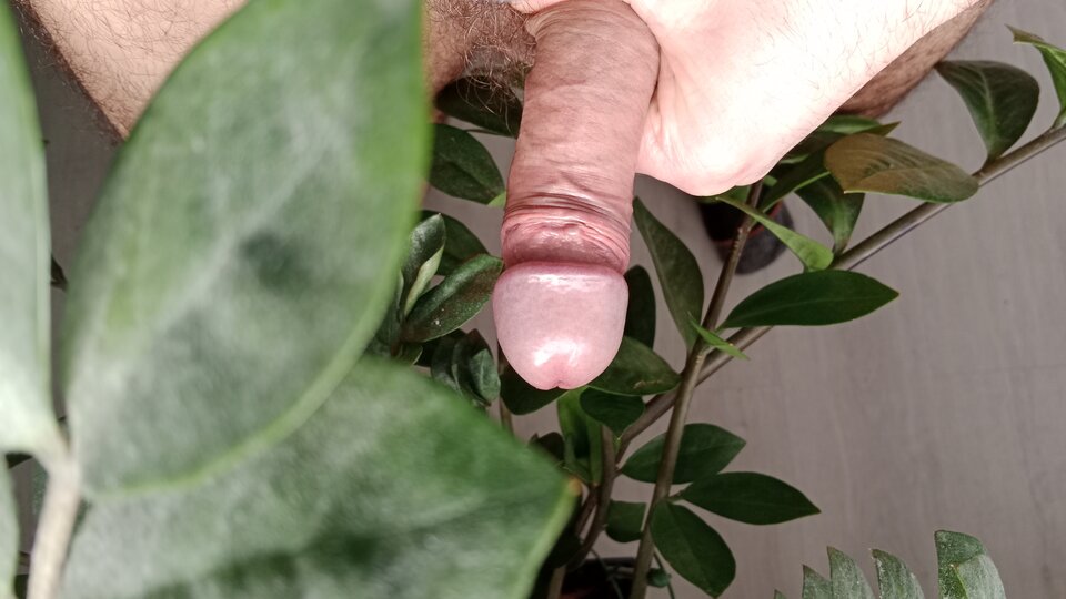 16756803441258994001636441463157.jpg - eroteooo