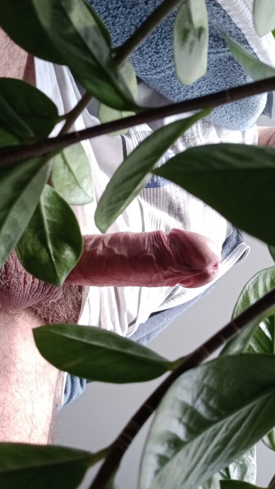 16756804941794347501164852233736.jpg - eroteooo